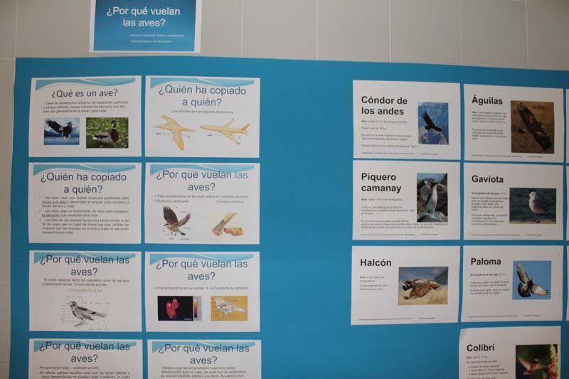 Semana Ciencias en Los Tilos